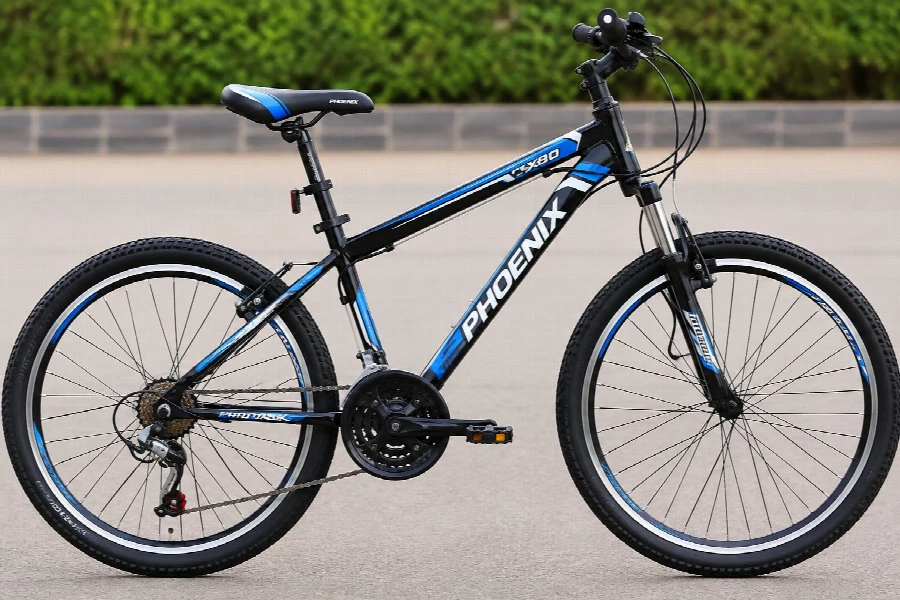 MOUNTAIN BIKE