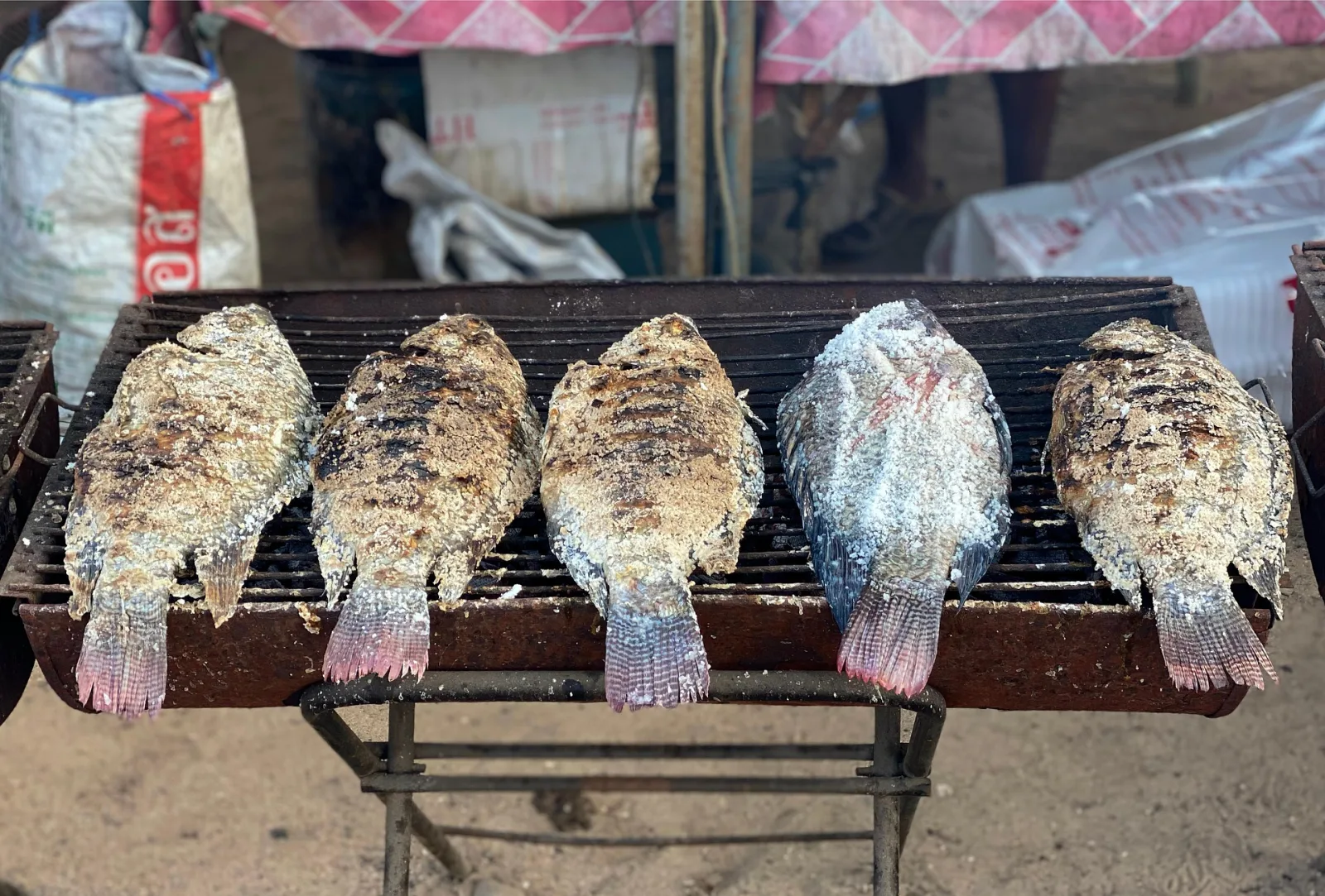 Grilled Tilapia