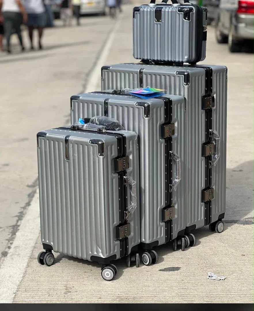 Bruno carval alminium transport bag