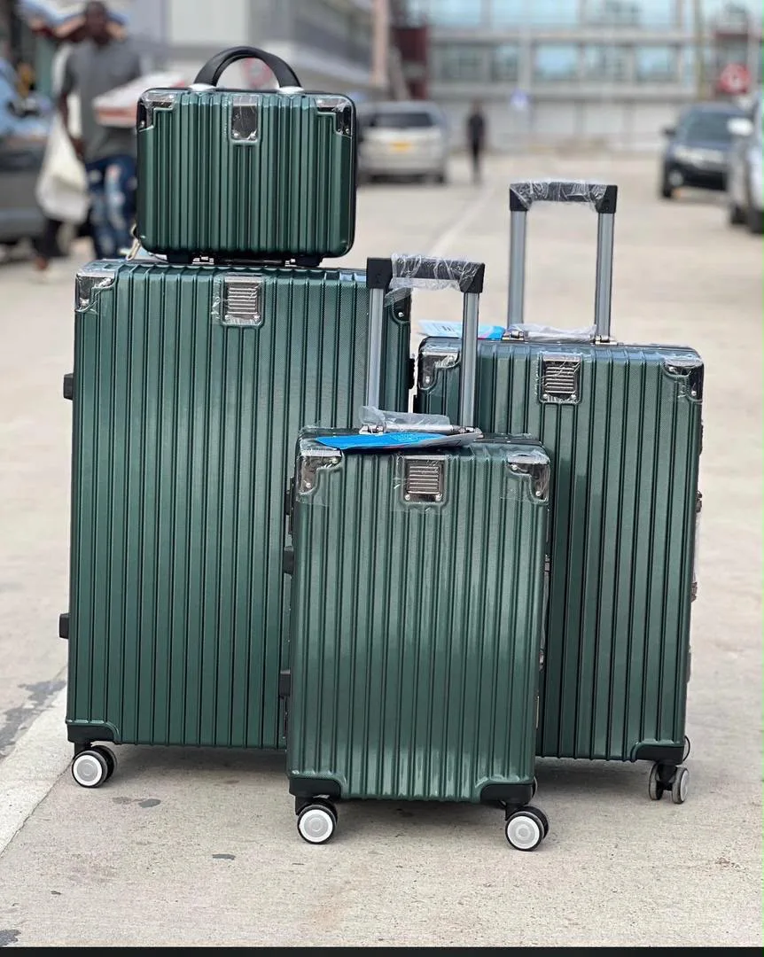 Bruno carval alminium transport bag