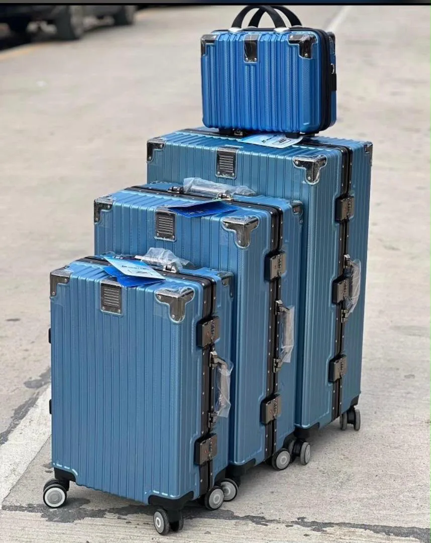 Bruno carval alminium transport bag