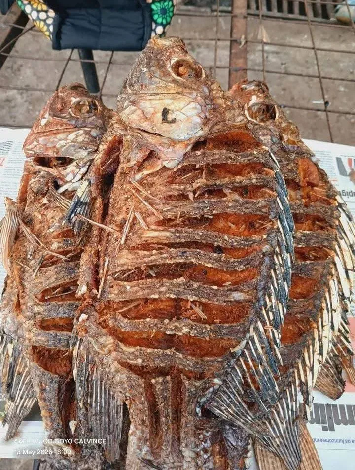 SANGARA FISH