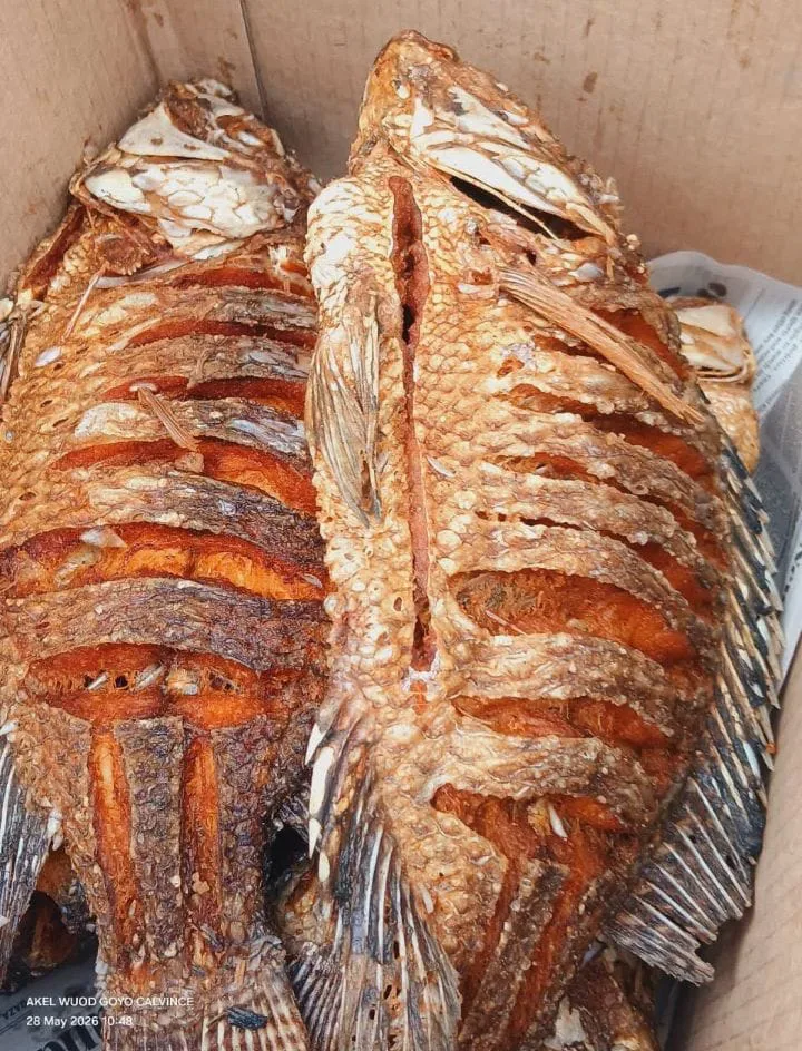 SANGARA FISH