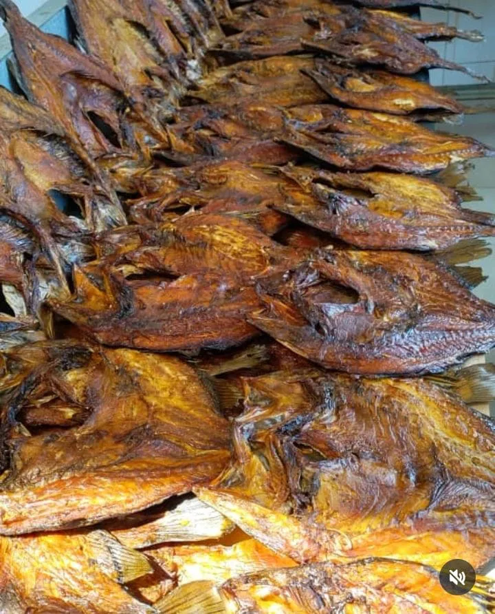 KIBAMBALA FISH